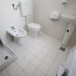 Comfort ティミショアラ