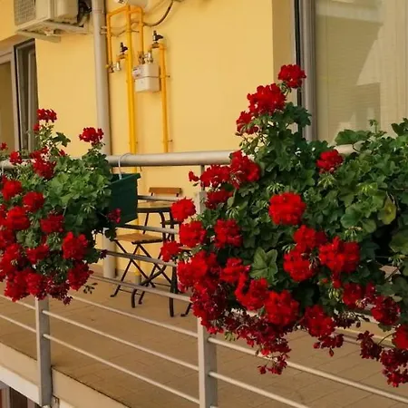 Comfort Temeşvar