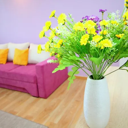 Comfort דירה טימישוארה