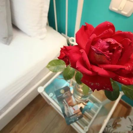 Comfort 아파트 티미쇼아라