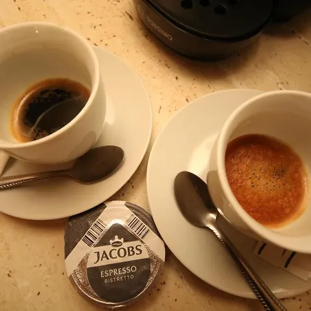 Comfort * 티미쇼아라