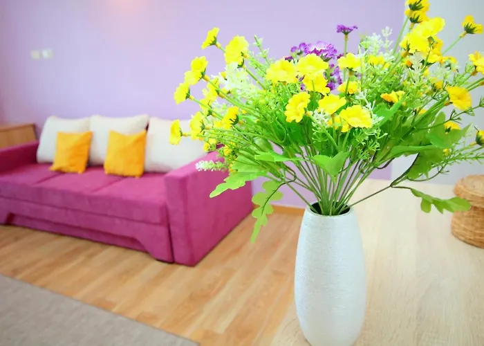 Comfort Appartamento Timisoara