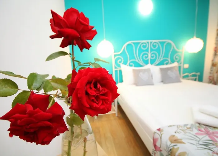 Comfort * Timişoara